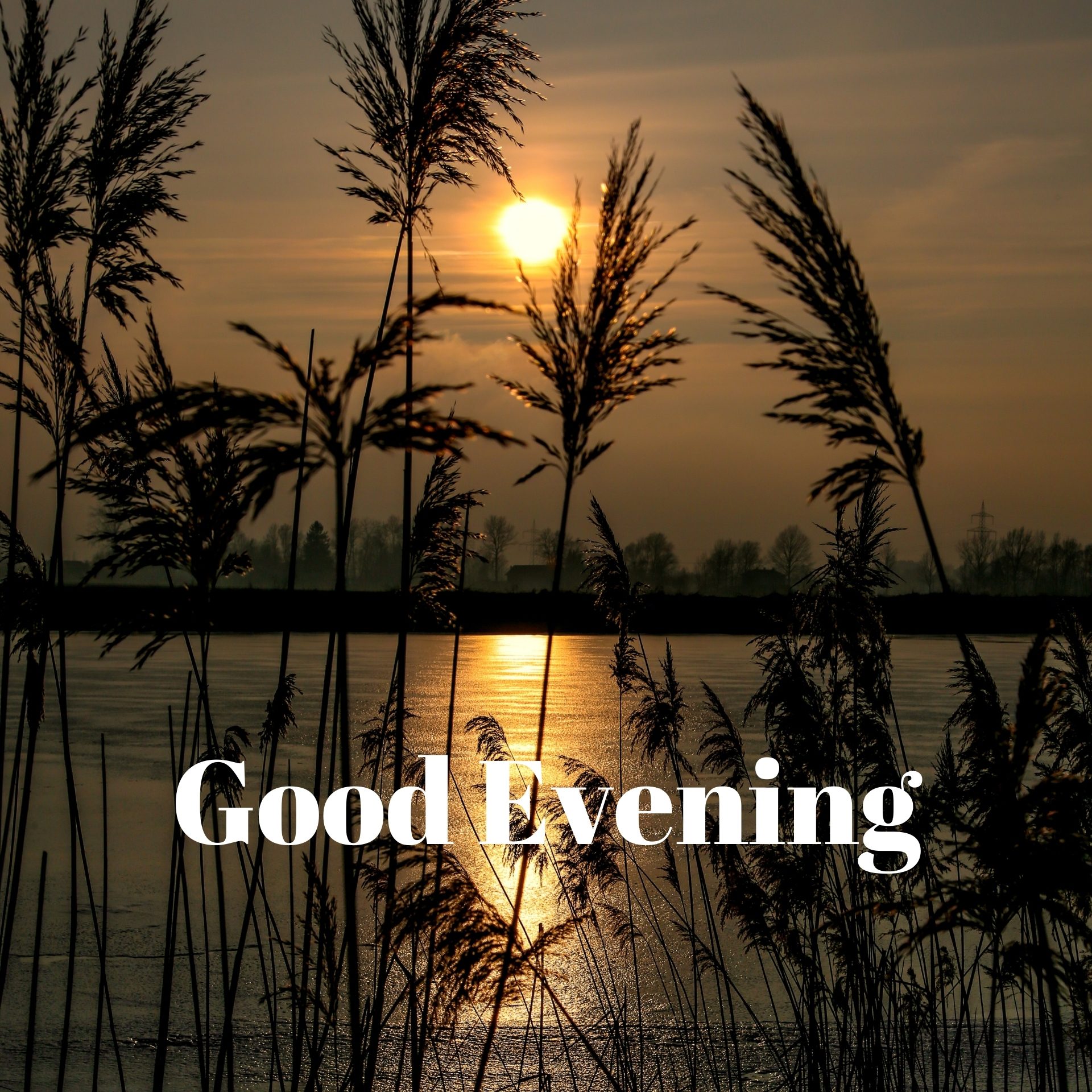 Good Evening Picture Download